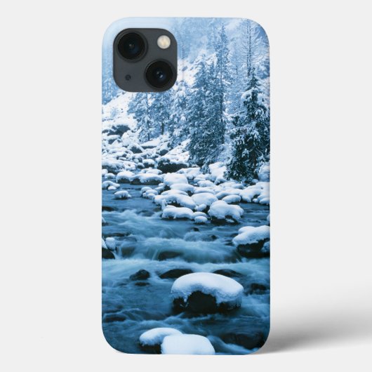 WA, Nationaal bos Wenatchee, Cascade Case-Mate iPhone Case (Achterkant)