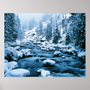 WA, Nationaal bos Wenatchee, Cascade Poster
