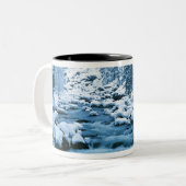 WA, Nationaal bos Wenatchee, Cascade Tweekleurige Koffiemok (Voorkant links)