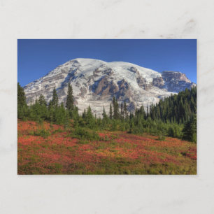 WA, Nationaal park Mt. Rainier, Paradise Valley Briefkaart