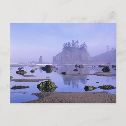 WA, Olympic National Park, Second Beach, Briefkaart (Voorkant)