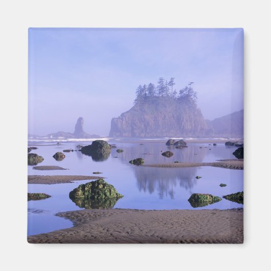 WA, Olympic National Park, Second Beach, Magneet (Voorkant)