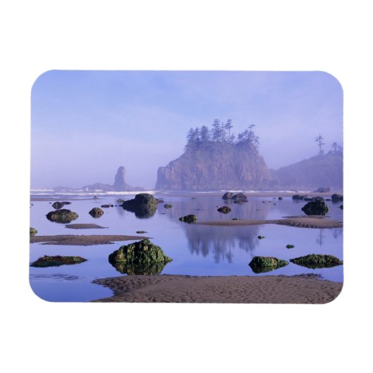 WA, Olympic National Park, Second Beach, Magneet (Horizontaal)