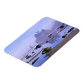 WA, Olympic National Park, Second Beach, Magneet (Linkerzijde)