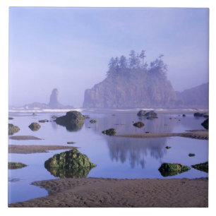 WA, Olympic National Park, Second Beach, Tegeltje