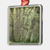 WA, Olympic NP, Hoh Rain Forest, Hall of Metalen Ornament (Links)