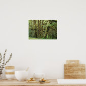 WA, Olympic NP, Hoh Rain Forest, Hall of Poster (Keuken)