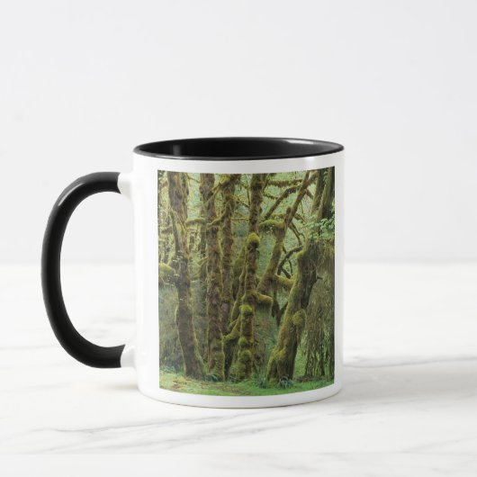 WA, Olympic NP, Hoh-regenwoud, Hall of Mok (Links)