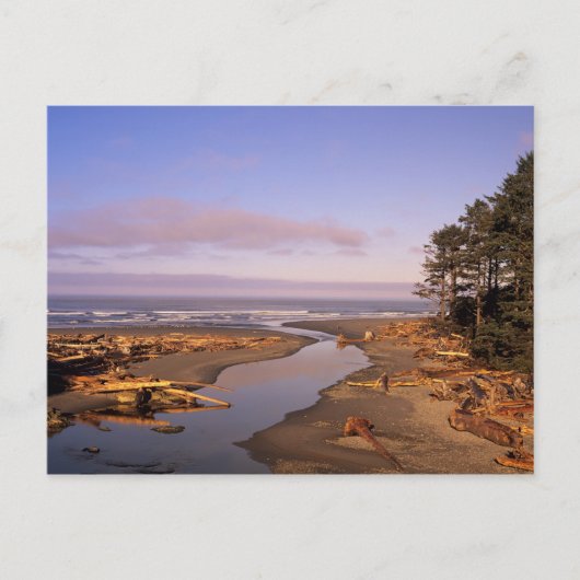 WA, Olympic NP, Kalaloch Beach en Kalaloch Briefkaart (Voorkant)