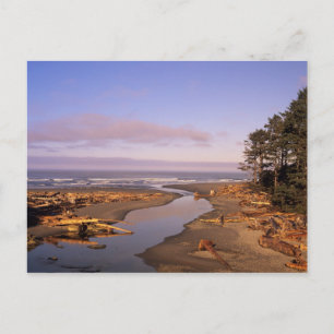 WA, Olympic NP, Kalaloch Beach en Kalaloch Briefkaart