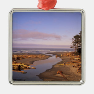 WA, Olympic NP, Kalaloch Beach en Kalaloch Metalen Ornament