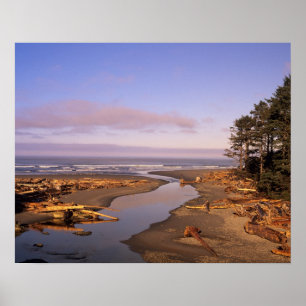 WA, Olympic NP, Kalaloch Beach en Kalaloch Poster