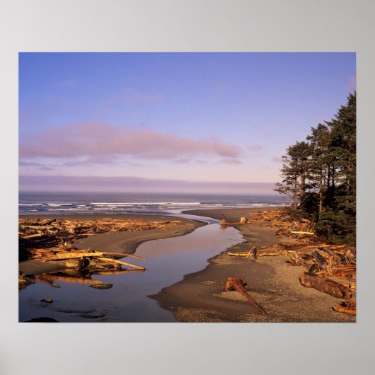 WA, Olympic NP, Kalaloch Beach en Kalaloch Poster (Voorkant)
