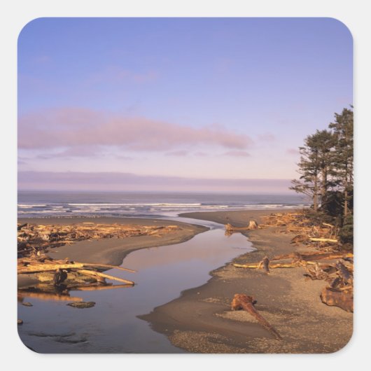 WA, Olympic NP, Kalaloch Beach en Kalaloch Vierkante Sticker (Voorkant)
