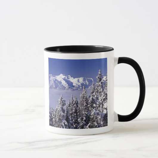 WA, Olympic NP, Olympic bergketen, uitzicht Mok (Rechts)