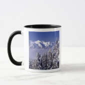WA, Olympic NP, Olympic bergketen, uitzicht Mok (Links)