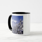 WA, Olympic NP, Olympic bergketen, uitzicht Mok (Voorkant links)