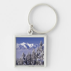 WA, Olympic NP, Olympic bergketen, uitzicht Sleutelhanger