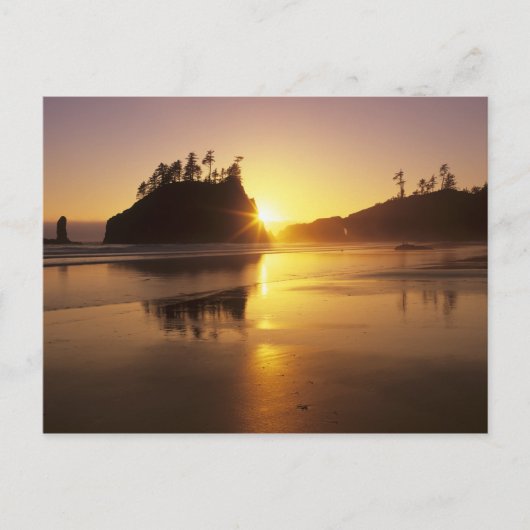 WA, Olympic NP, Second Beach bij zonsondergang Briefkaart (Voorkant)