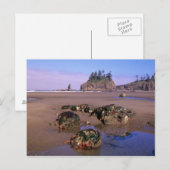 WA, Olympic NP, Second Beach met getidepools en Briefkaart (Voorkant / Achterkant)