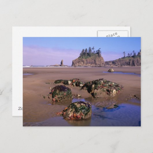 WA, Olympic NP, Second Beach met getidepools en Briefkaart (Voorkant / Achterkant)
