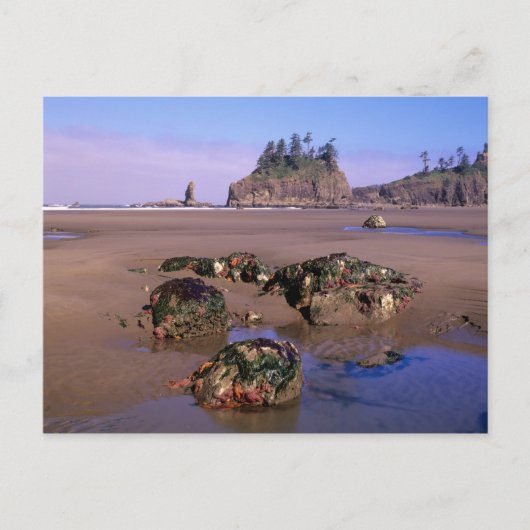 WA, Olympic NP, Second Beach met getidepools en Briefkaart (Voorkant)