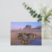 WA, Olympic NP, Second Beach met getidepools en Briefkaart (Staand voorkant)