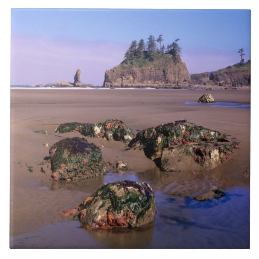 WA, Olympic NP, Second Beach met getidepools en Tegeltje (Voorkant)