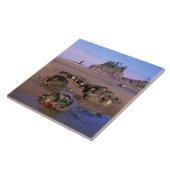 WA, Olympic NP, Second Beach met getidepools en Tegeltje (Zijkant)