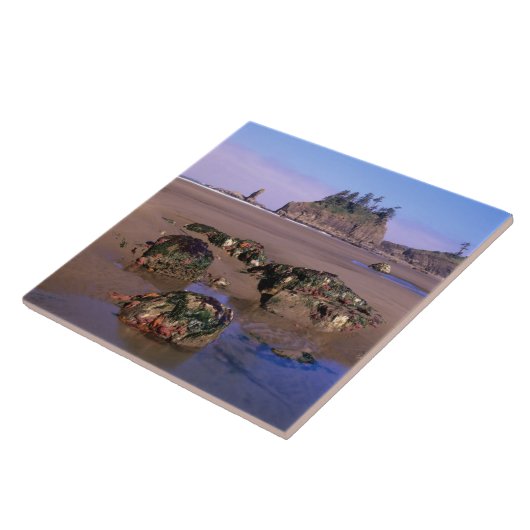 WA, Olympic NP, Second Beach met getidepools en Tegeltje (Zijkant)