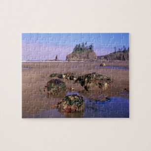 WA, Olympic NP, Second Beach met getijdenpoelen en Legpuzzel