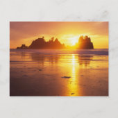 WA, Olympic NP, Shi Shi strand bij zonsondergang,  Briefkaart (Voorkant)