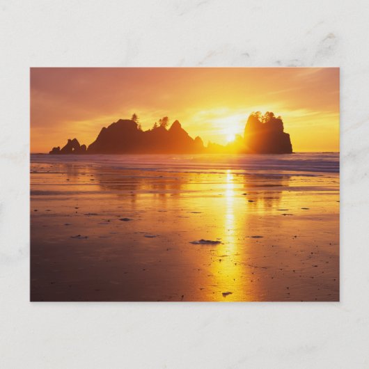 WA, Olympic NP, Shi Shi strand bij zonsondergang,  Briefkaart (Voorkant)