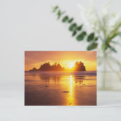 WA, Olympic NP, Shi Shi strand bij zonsondergang,  Briefkaart (Staand voorkant)