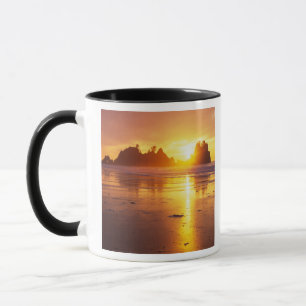 WA, Olympic NP, Shi Shi-strand bij zonsondergang,  Mok