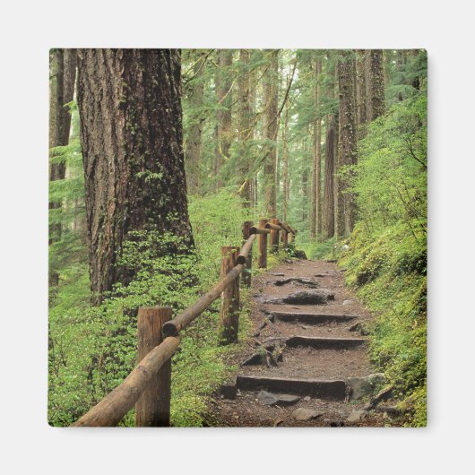 WA, Olympic NP, Sol Duc-vallei, regenwoud Magneet (Voorkant)