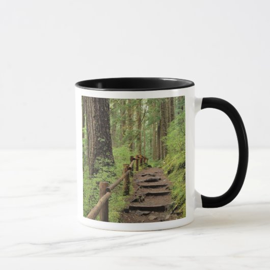 WA, Olympic NP, Sol Duc-vallei, regenwoud Mok (Rechts)