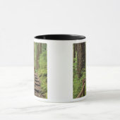WA, Olympic NP, Sol Duc-vallei, regenwoud Mok (Midden)