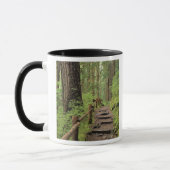 WA, Olympic NP, Sol Duc-vallei, regenwoud Mok (Links)