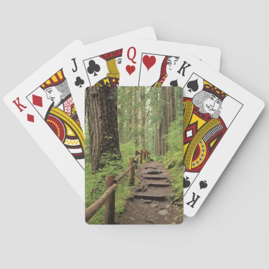 WA, Olympic NP, Sol Duc-vallei, regenwoud Pokerkaarten (Achterkant)