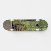 WA, Olympic NP, Sol Duc-vallei, regenwoud Skateboard (Horizontaal)