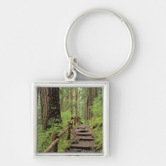 WA, Olympic NP, Sol Duc-vallei, regenwoud Sleutelhanger (Voorkant)
