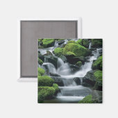 WA, Olympic NP, Sol Duc-vallei, stroom met Magneet (Voorkant / Achterkant)