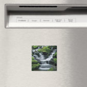 WA, Olympic NP, Sol Duc-vallei, stroom met Magneet (Insitu (Vaatwasser))