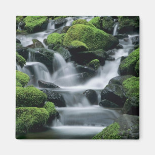 WA, Olympic NP, Sol Duc-vallei, stroom met Magneet