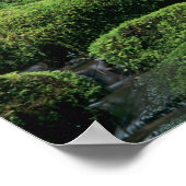 WA, Olympic NP, Sol Duc-vallei, stroom met Poster (Hoek)