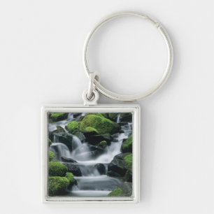 WA, Olympic NP, Sol Duc-vallei, stroom met Sleutelhanger