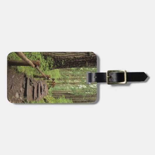 WA, Olympic NP, Sol Duc Valley, regenwoud Bagagelabel (Voorkant horizontaal)