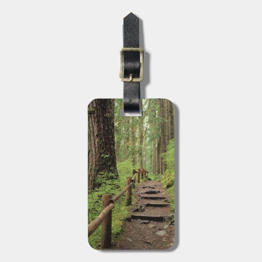 WA, Olympic NP, Sol Duc Valley, regenwoud Bagagelabel (Voorkant verticaal)