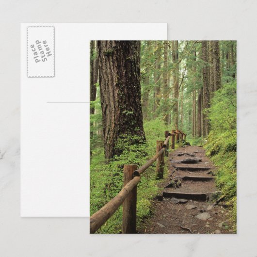WA, Olympic NP, Sol Duc Valley, regenwoud Briefkaart (Voorkant / Achterkant)